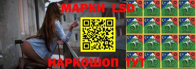 шишки Бийск