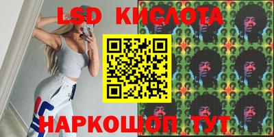 шишки Бийск