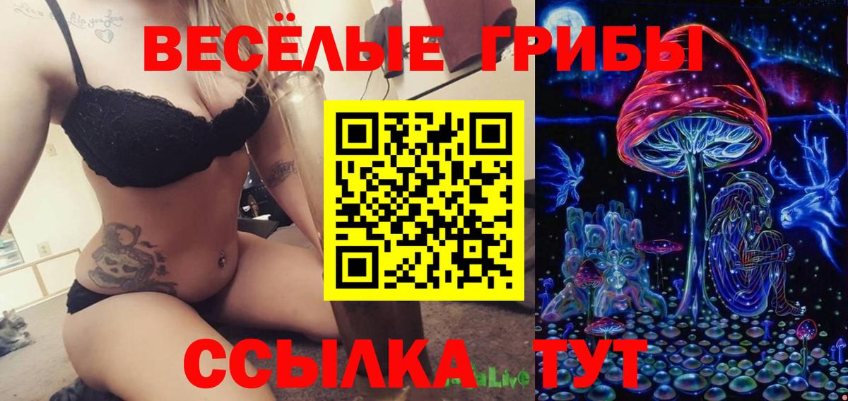 Кокаин  КЕТАМИН  Каннабис  Йошкар-Ола  Купить  Мефедрон кристаллы  Гашиш  Вход с VPN 