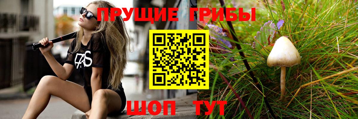 Псилоцибиновые грибы ЛСД Йошкар-Ола